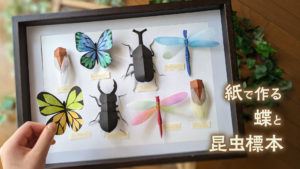 紙で作る蝶と昆虫標本